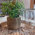 招待所 Zur Deutschen Eiche - Fruehstueckspension Und 3*