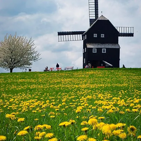 Zur Deutschen Eiche - Fruehstueckspension Und Pensjonat Großschönau