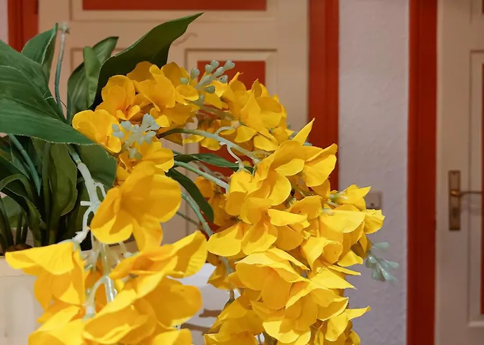 بيت ضيافة Zur Deutschen Eiche - Fruehstueckspension Und 3*